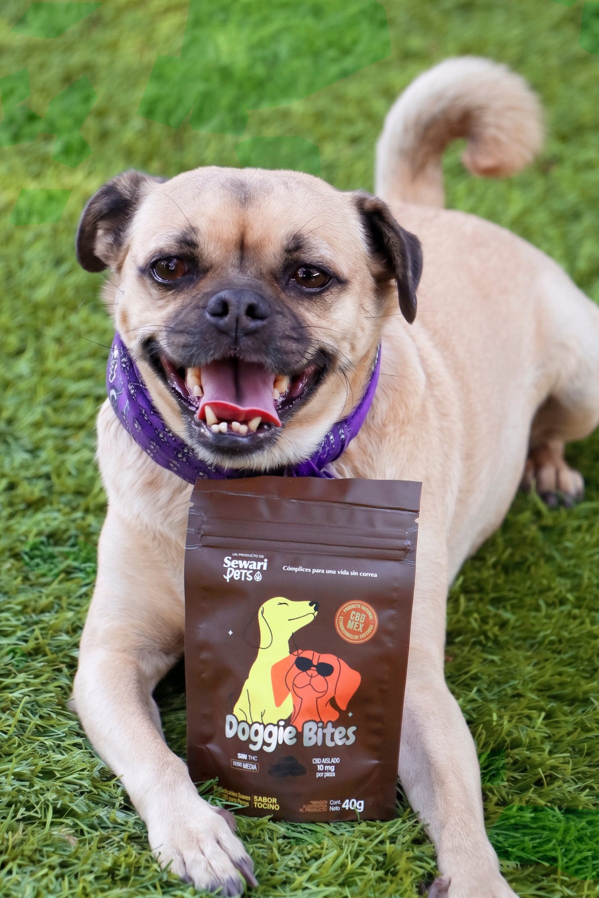 Perro con Doggie Bites de Sewari