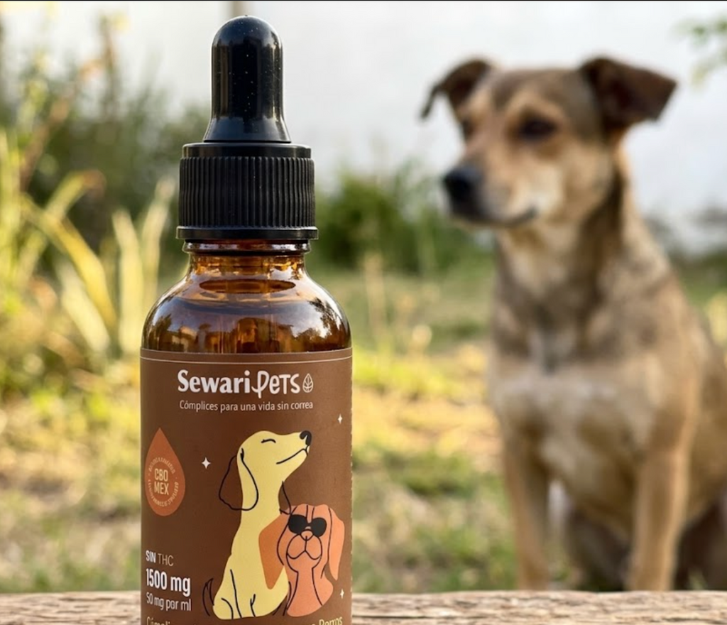 Perro junto a gotas de CBD Sewari sabor tocino