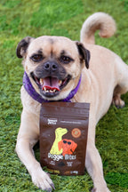 Perro pug con Doggie Bites Sewari Pets