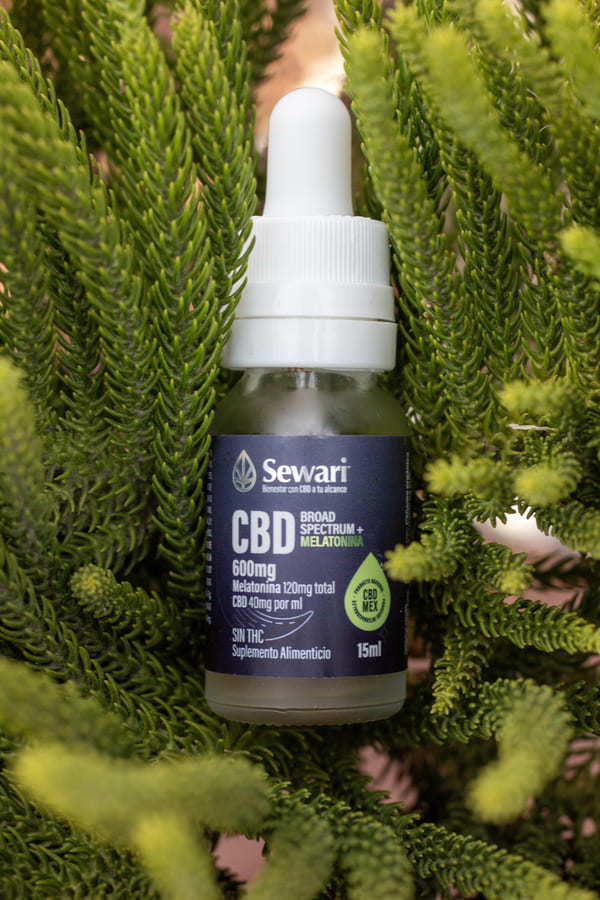 GOTAS DE CBD SIN THC + MELATONINA