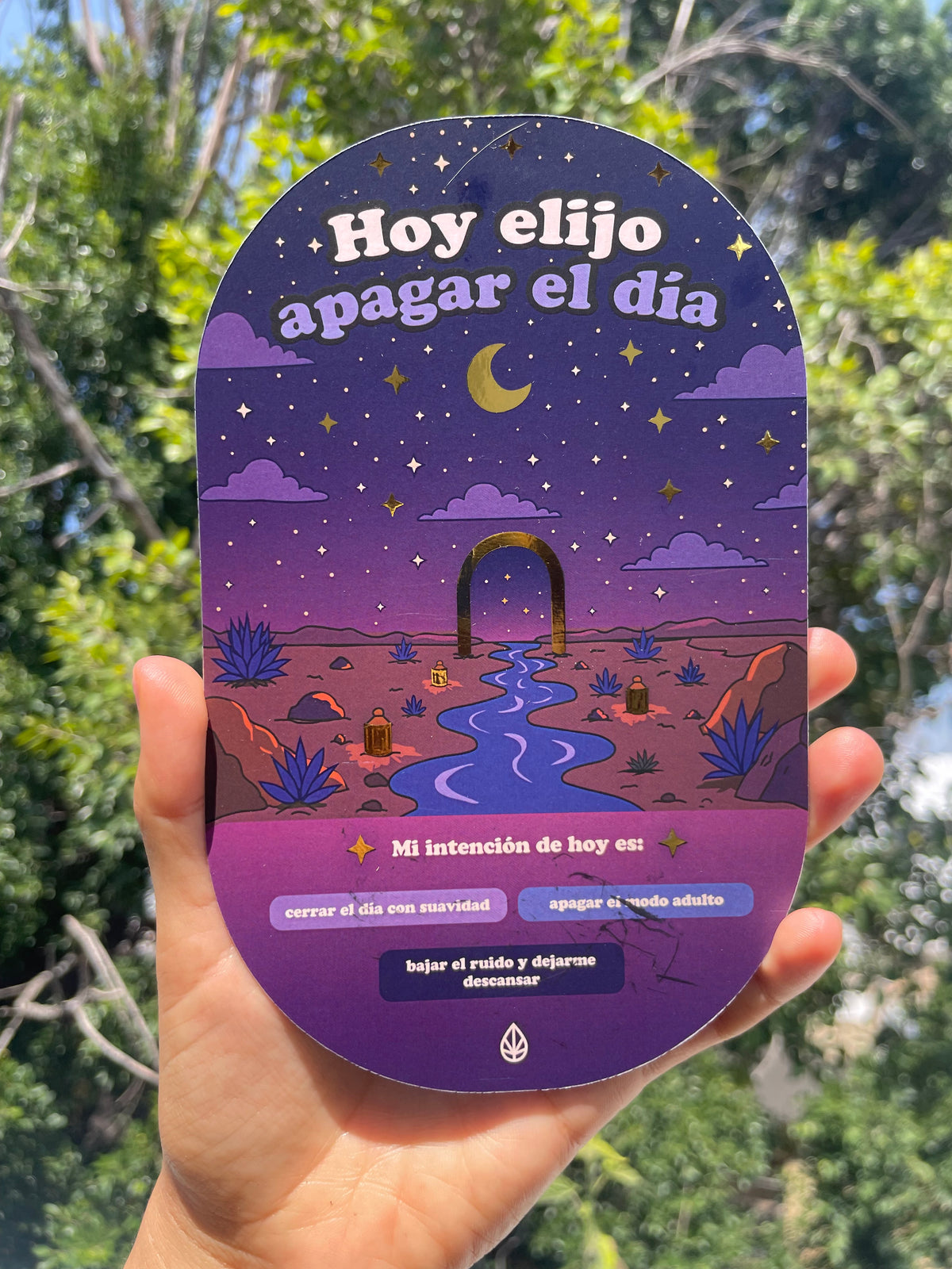 Kits - Iniciación al oasis